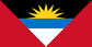 Flag Logo